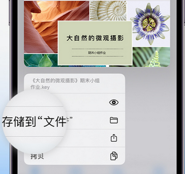 吴江apple维修中心分享iPhone文件应用中存储和找到下载文件