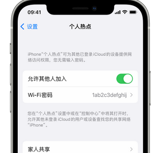 吴江apple服务站点分享iPhone上个人热点丢失了怎么办 