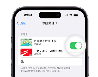 吴江apple维修点分享iPhone上更换Apple Pay快捷交通卡手绘卡面 