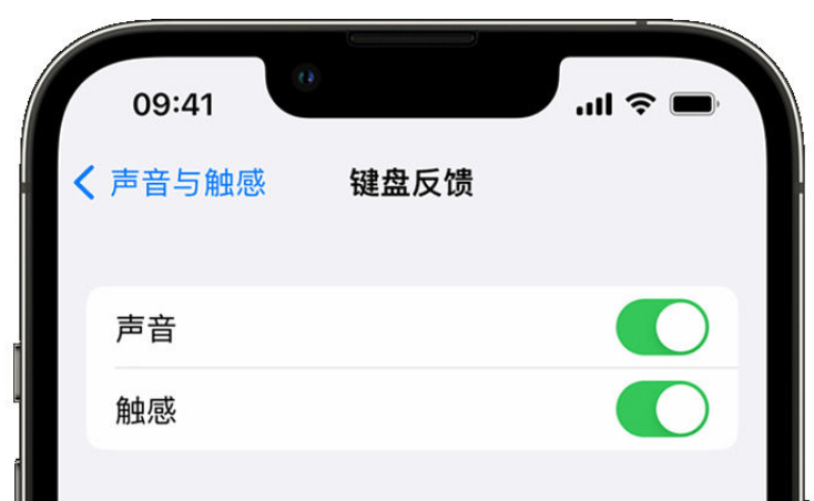 吴江苹果手机维修分享iPhone 14触感键盘使用方法 