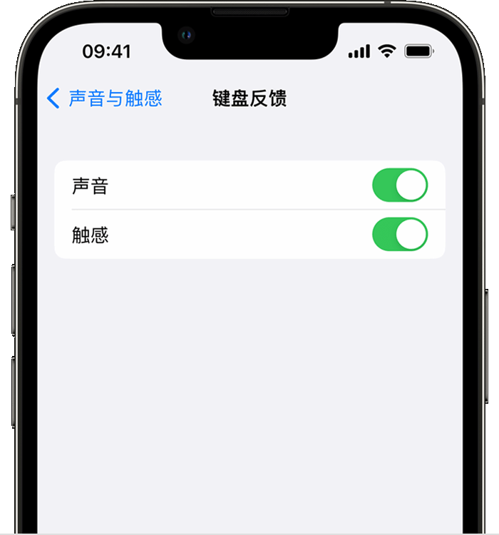 吴江苹果14维修店分享如何在 iPhone 14 机型中使用触感键盘 