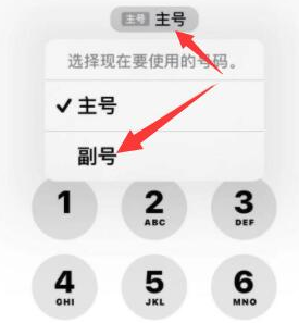 吴江苹果14维修店分享iPhone 14 Pro Max使用副卡打电话的方法 