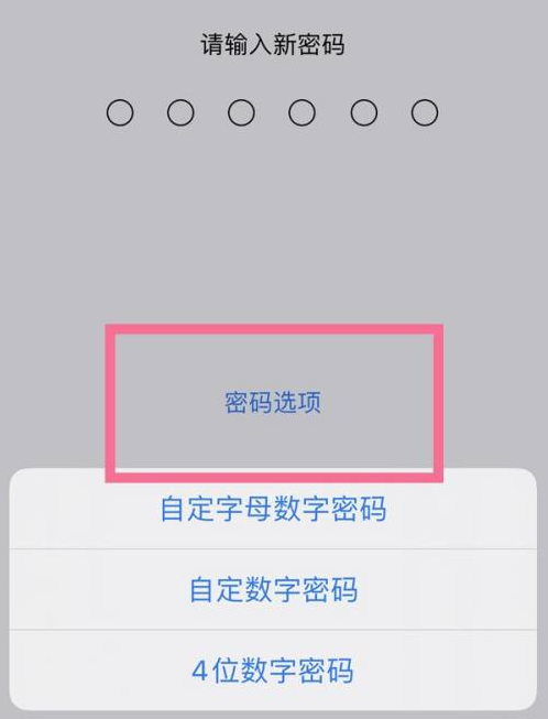 吴江苹果14维修分享iPhone 14plus设置密码的方法 