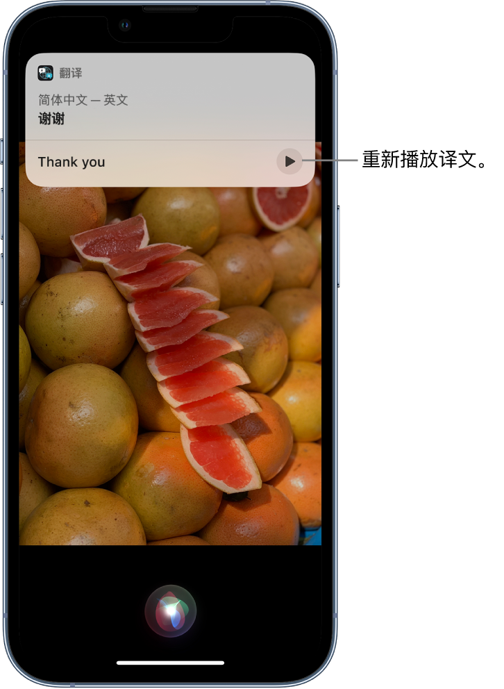 吴江苹果14维修分享 iPhone 14 机型中使用 Siri：了解 Siri 能帮你做什么 