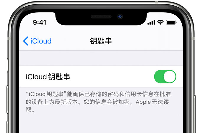 吴江苹果手机维修分享在 iPhone 上开启 iCloud 钥匙串之后会储存哪些信息 