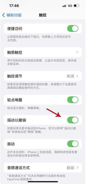 吴江苹果手机维修分享iPhone手机如何设置摇一摇删除文字 