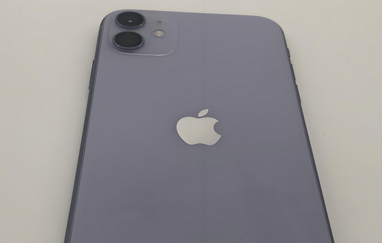 吴江苹果11系统维修分享iPhone11手机系统崩溃无法开机如何解决 
